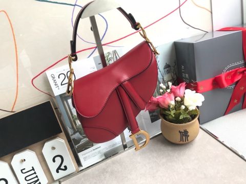 Túi xách nữ Dior saddle đẹp size 20cm