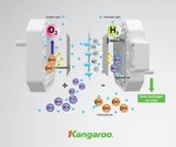 Máy lọc nước Hydrogen ion kiềm Kangaroo KG100MED