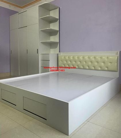  GIƯỜNG NHỰA ĐÀI LOAN GN61 