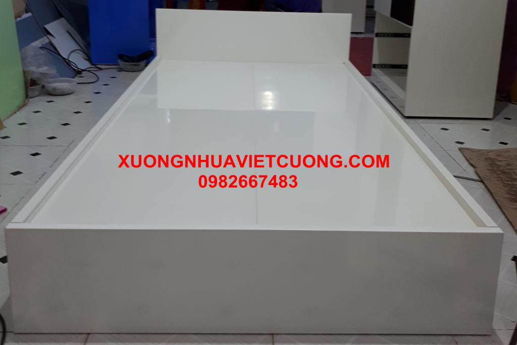 GIƯỜNG NHỰA ĐÀI LOAN GN03