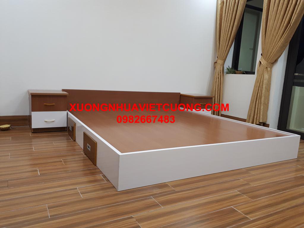 GIƯỜNG NHỰA ĐÀI LOAN GN02