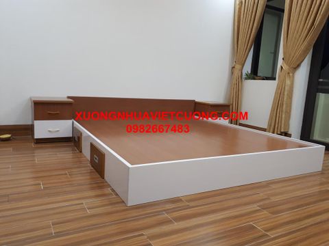  GIƯỜNG NHỰA ĐÀI LOAN GN02 