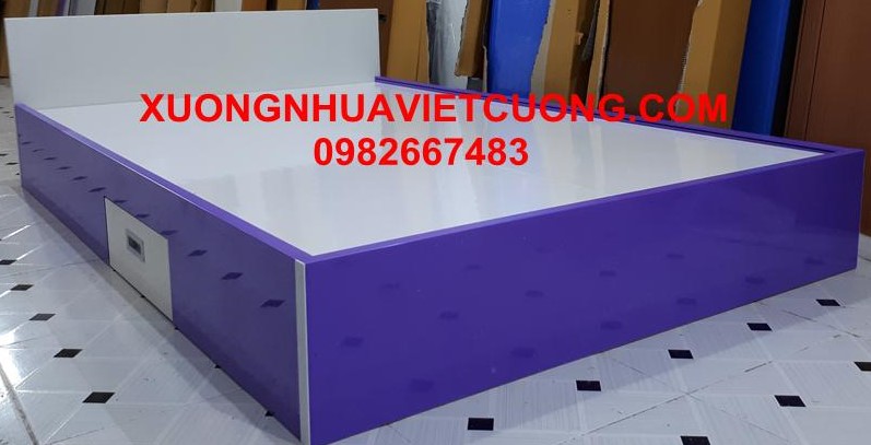 GIƯỜNG NHỰA ĐÀI LOAN GN19