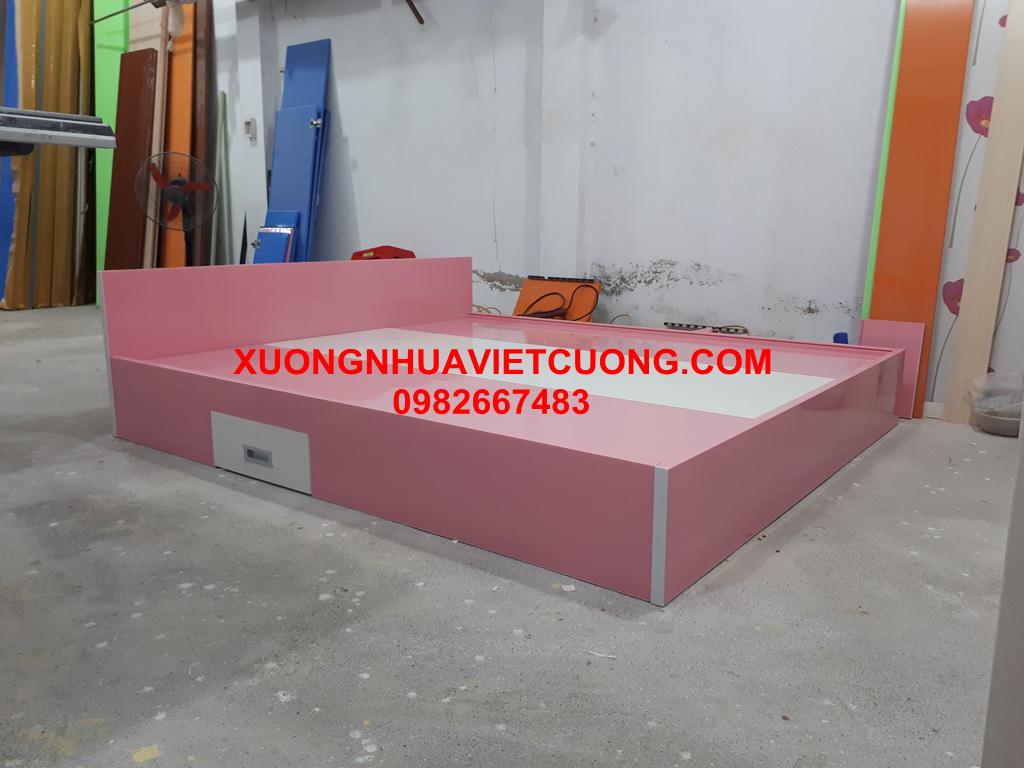 GIƯỜNG NHỰA ĐÀI LOAN GN30