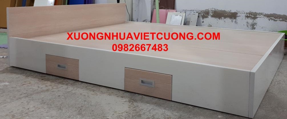 GIƯỜNG NHỰA ĐÀI LOAN GN16