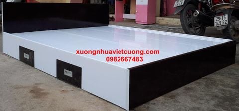  GIƯỜNG NGỦ NHỰA ĐÀI LOAN GN17 