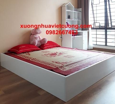  GIƯỜNG NHỰA ĐÀI LOAN GIÁ RẺ GN13 