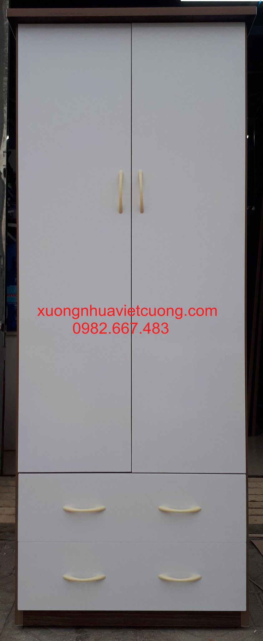 TỦ NHỰA ĐÀI LOAN 2 BUỒNG TA268