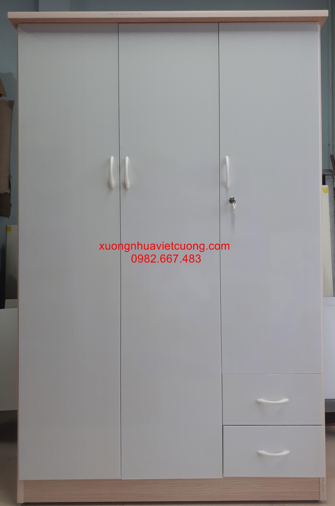 TỦ NHỰA ĐÀI LOAN 3 BUỒNG TA3103