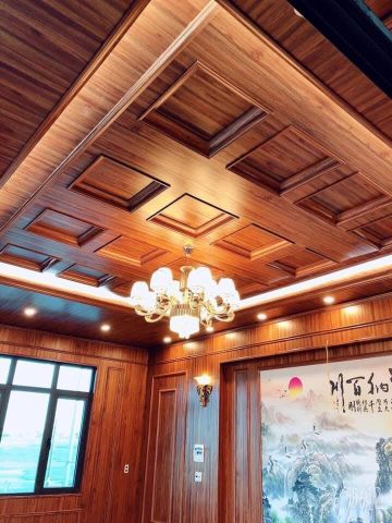  ỐP TRẦN TƯỜNG NANO CT19 