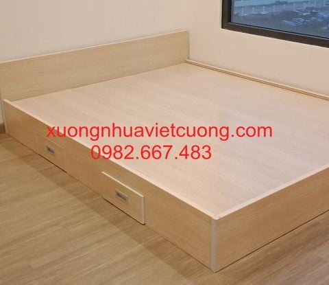  GIƯỜNG NHỰA ĐÀI LOAN GN20 