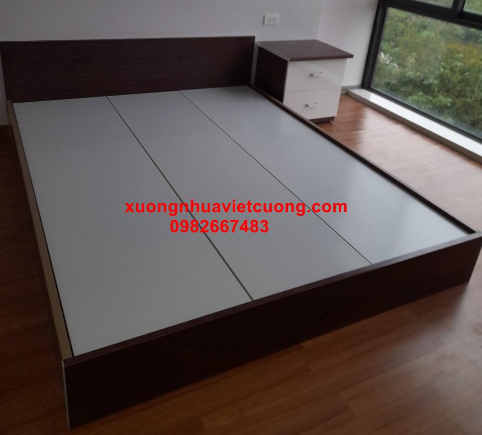 GIƯỜNG NHỰA ĐÀI LOAN GN35