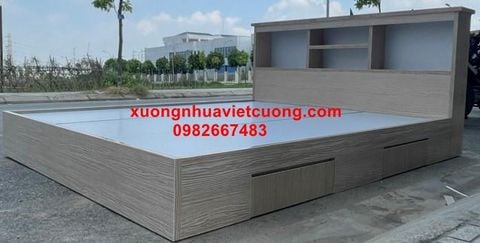  GIƯỜNG NHỰA ĐÀI LOAN GN86 