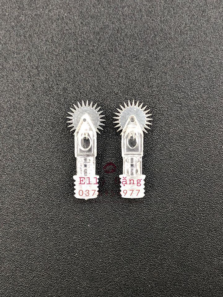 10 CON LĂN TẠO HẠT