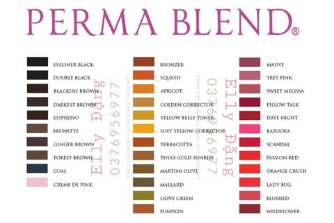  MỰC PHUN XĂM PERMA BLEND BLUSHED 