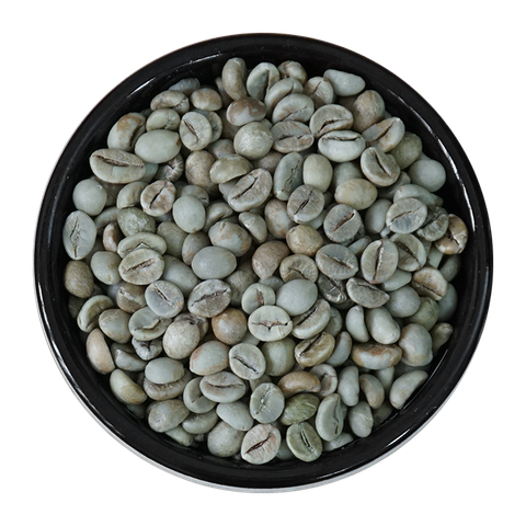  Cà Phê Nhân ROBUSTA WASHED (Tạm hết) 