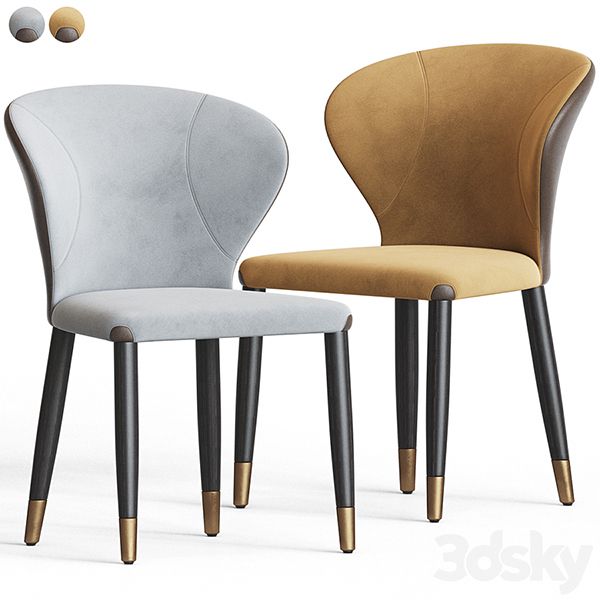 Ghế ăn con sò gỗ sồi