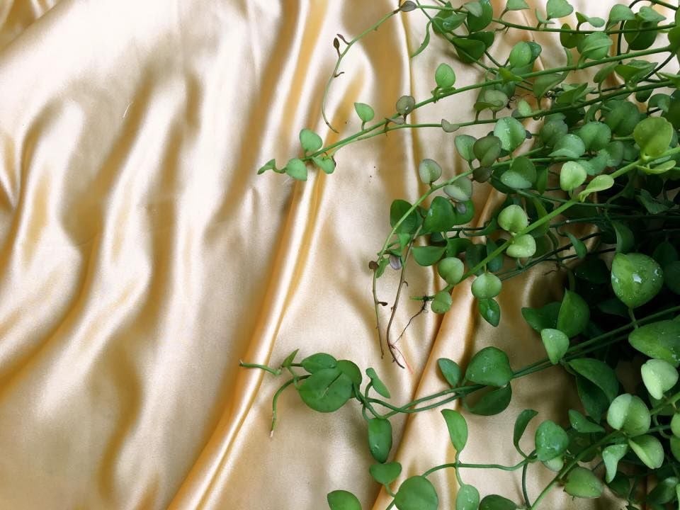 Vải Gấm Vàng Mơ Trơn