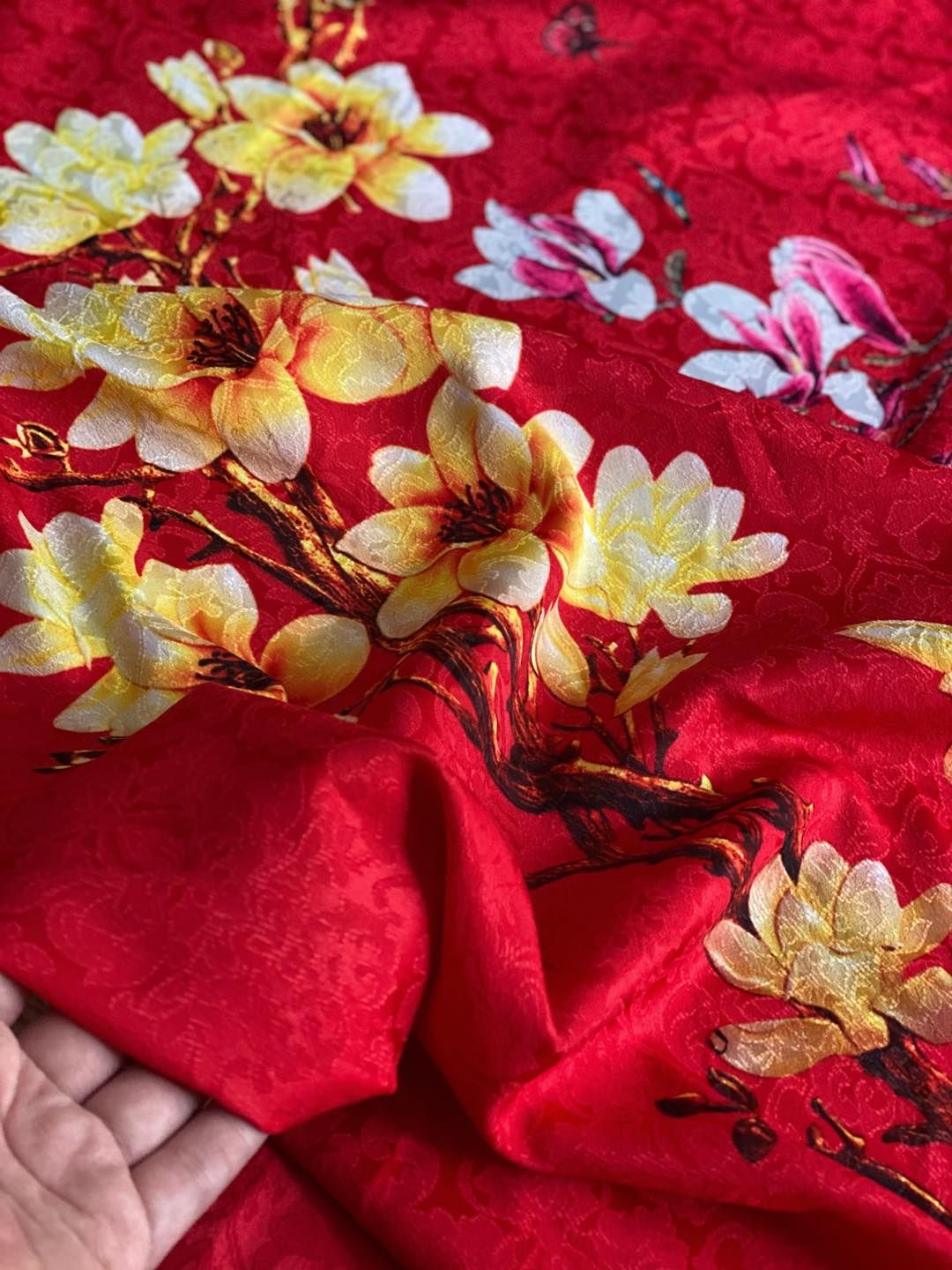 Gấm mộc liên đỏ - HẾT
