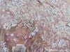 Vải Sequin - HẾT