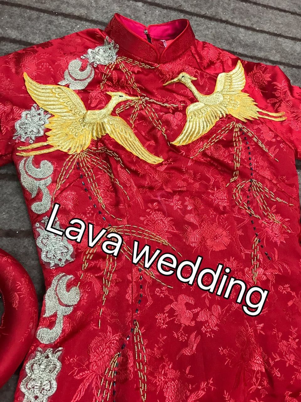 Gấm phượng đỏ nhỏ - HẾT
