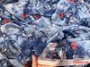 Voan tơ mẫu 2020 - HẾT