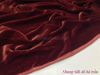 Nhung Silk