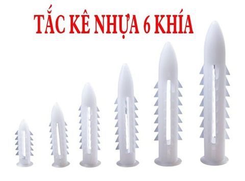  Tắc kê 6 khía 