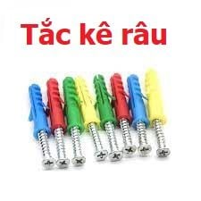  Tắc kê râu 