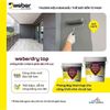 Chống Thấm 2 Thành Phần Weber Dry Top