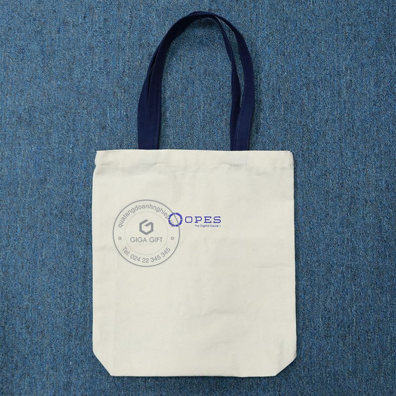 Túi vải canvas - GTVC 19