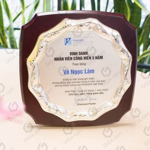 Kỷ niệm chương - GKNC 33