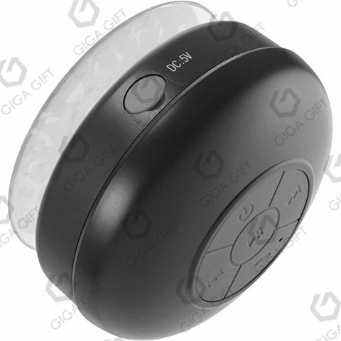 Loa Bluetooth - GLBT 20