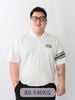 Áo Polo Trắng Kẻ Tay Big Size Nam