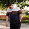 NEW POLO BIG SIZE- Áo Polo Phối Màu AKYOO 80-140kg