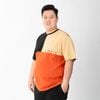 New T-Shirt -Áo Thun Phối Màu Big size 80-140kg