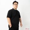 Áo Polo Cổ Xanh Big Size Nam