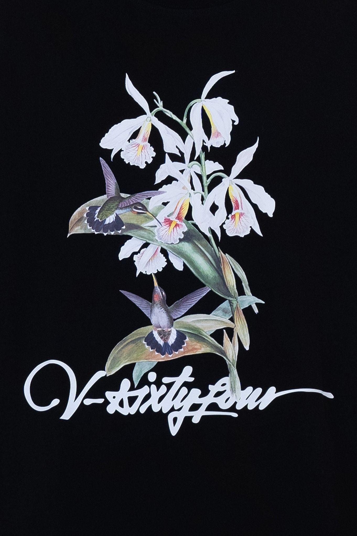 Áo Thun Nam Cotton Màu Đen Hoạ Tiết Typo Wildlife Art - 224MN3023B4001
