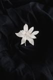 LACE - EMBELLISHED LEATHER BLOSSOM