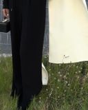 @Cameliangocbich X SEI PANTS