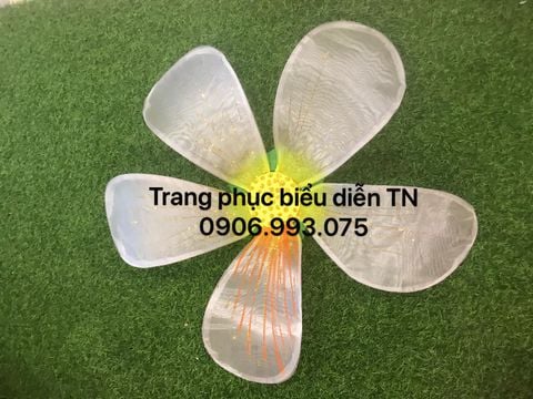  DC29 - Hoa Ban Trắng 