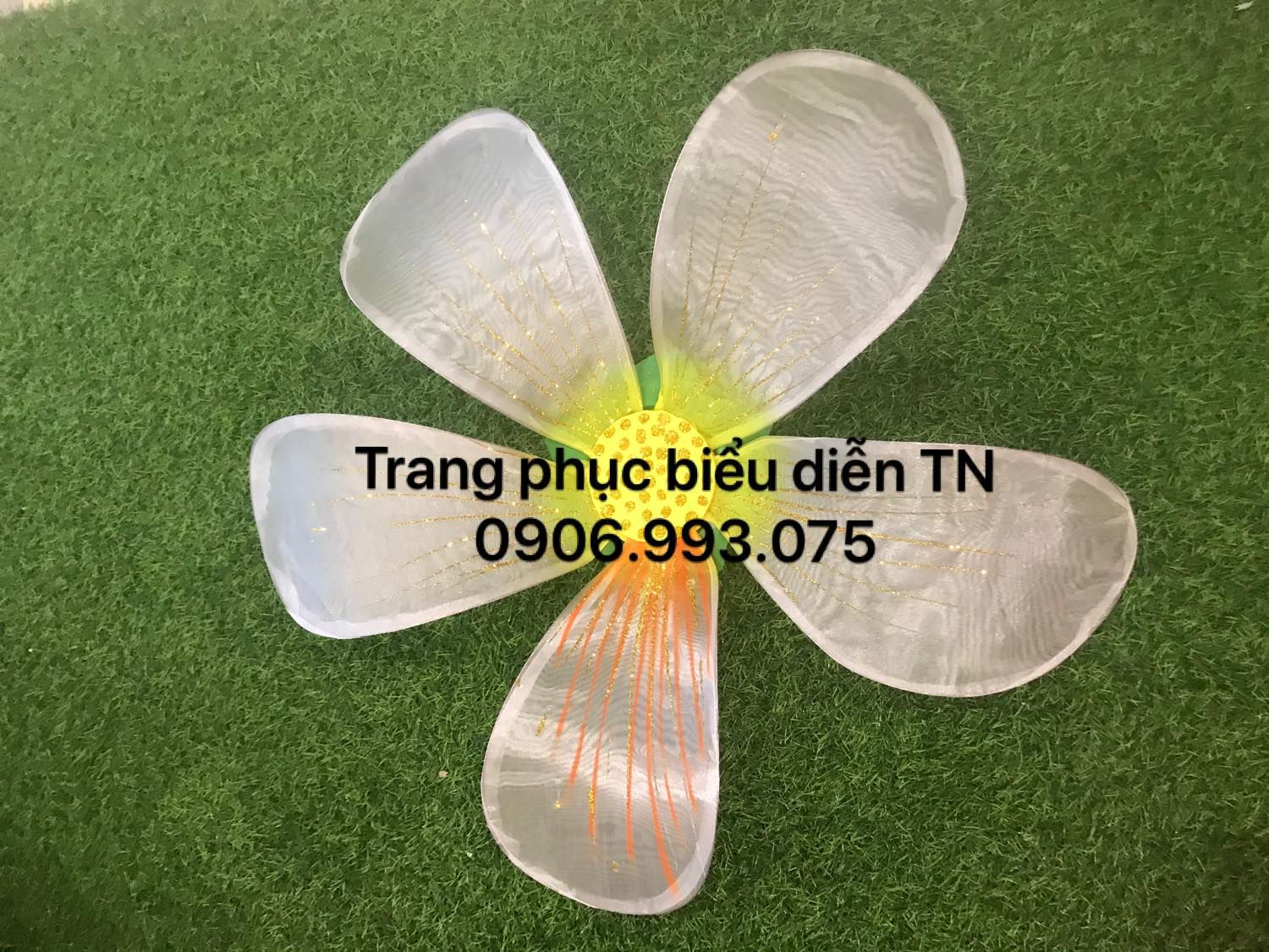 DC29 - Hoa Ban Trắng