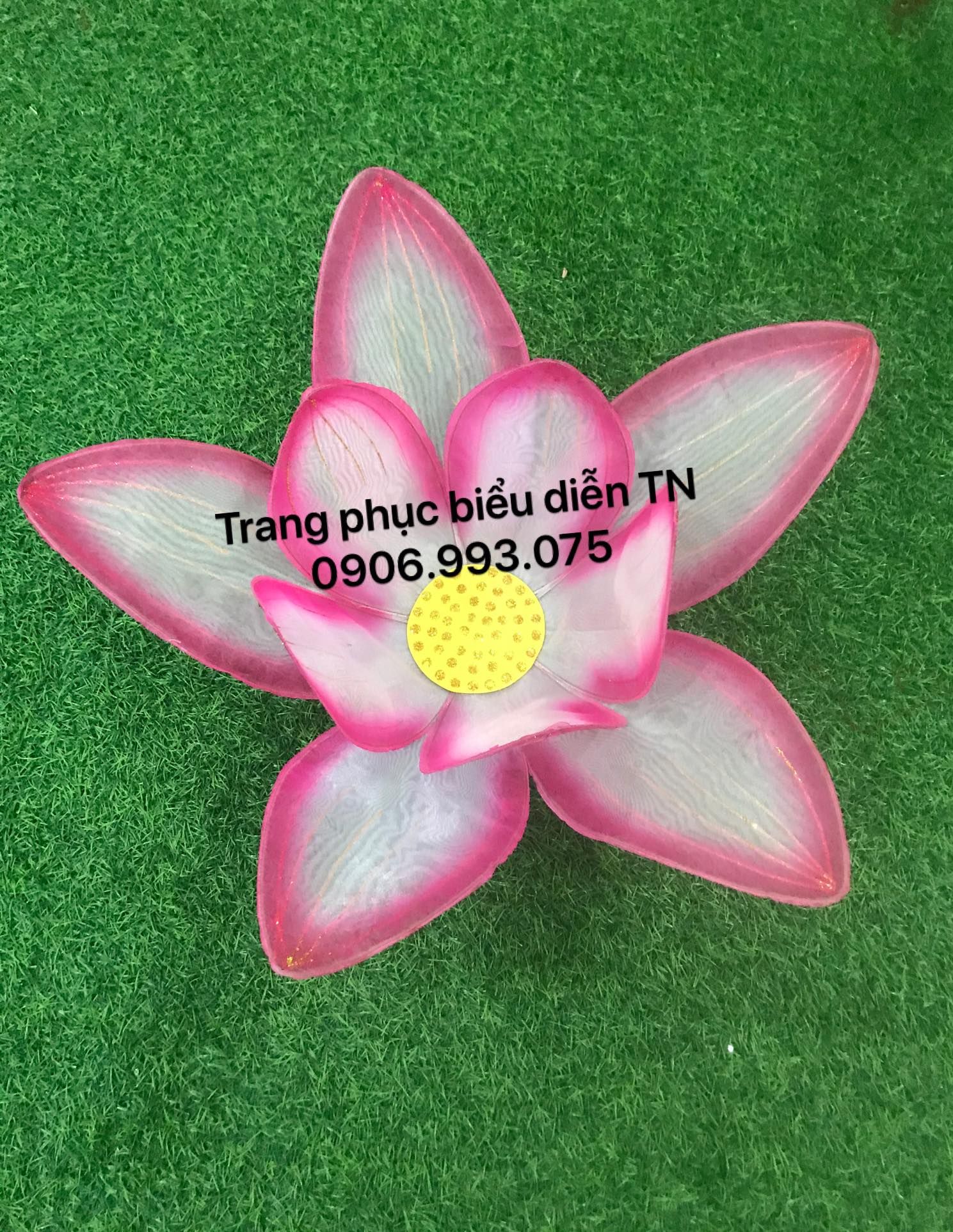 DC30 - Hoa Sen Đại