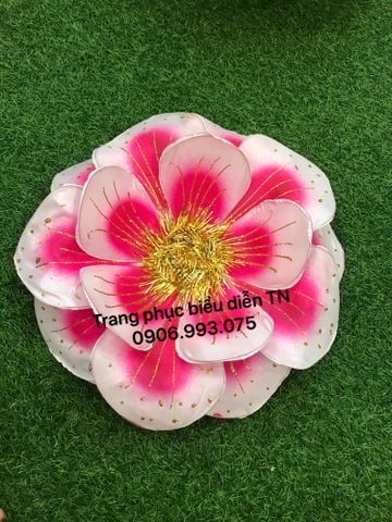  DC28 - Hoa Trắng Loang Hồng 