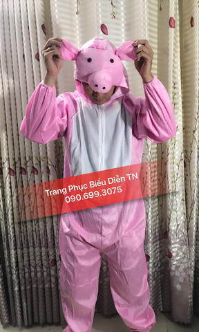 THM26 - Heo Hường