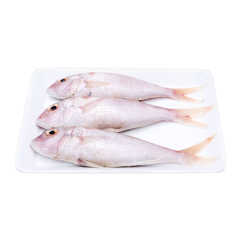 Cá đổng (Cá hường biển) tươi 0.5 kg