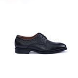  Giày da nam V3560-D 