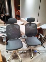 Ghế Công Thái Học Ergonomic Elegant T21