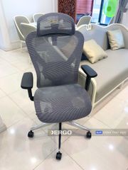 Ghế Công Thái Học Ergonomic Ergostuhl Q1