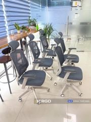 Ghế Công Thái Học Ergonomic Elegant T21